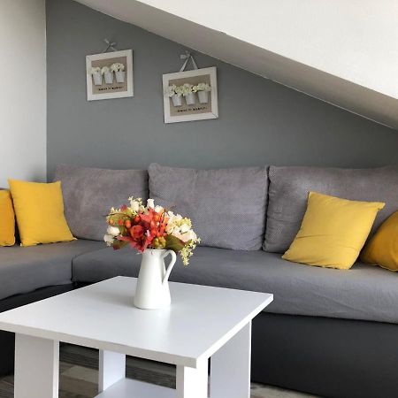 Charming Rijeka City Center Apartment Renee エクステリア 写真